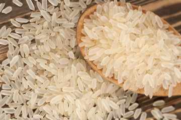 Rice1.jpg